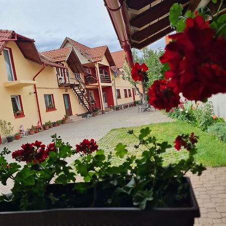 Vila Vladut Zarnesti Exterior foto