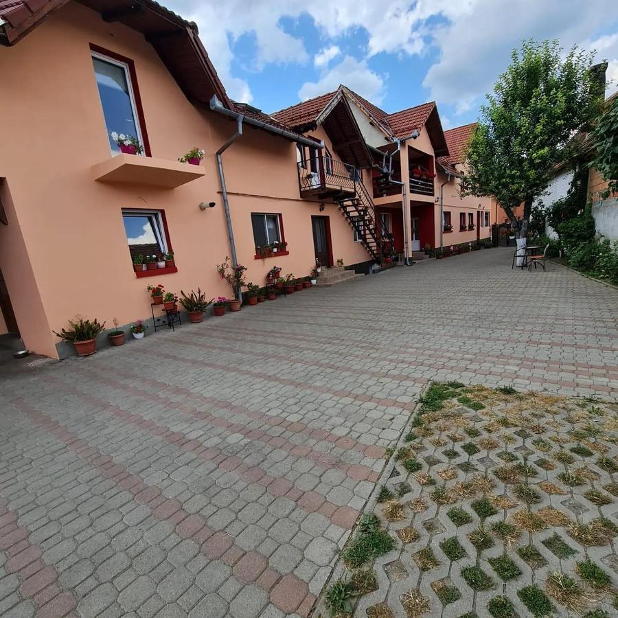 Vila Vladut Zarnesti Exterior foto