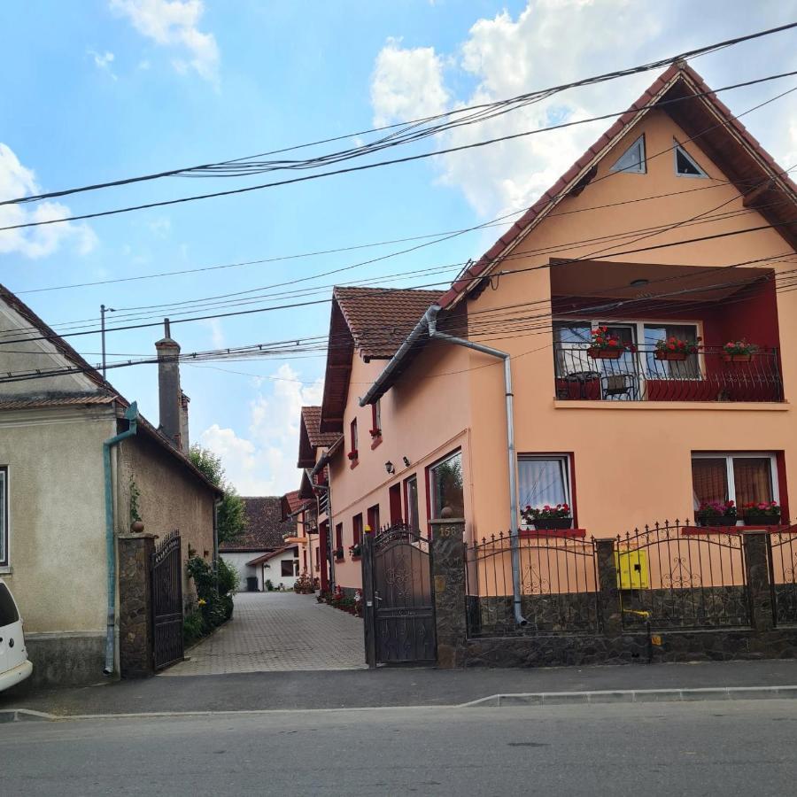 Vila Vladut Zarnesti Exterior foto