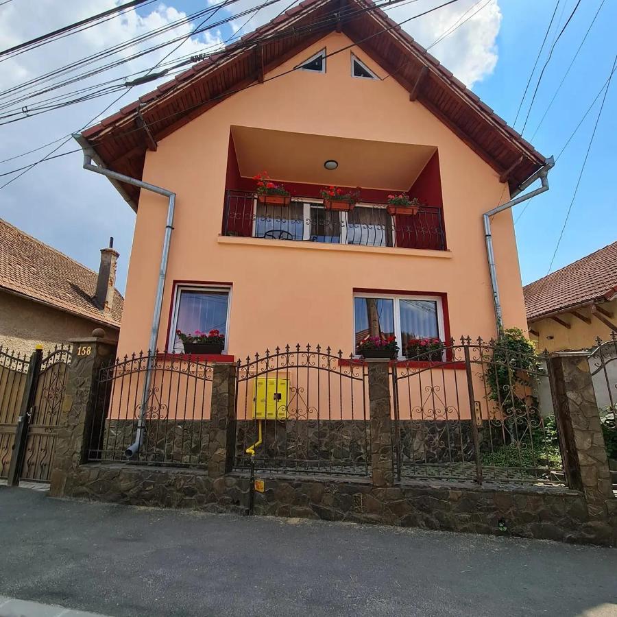 Vila Vladut Zarnesti Exterior foto