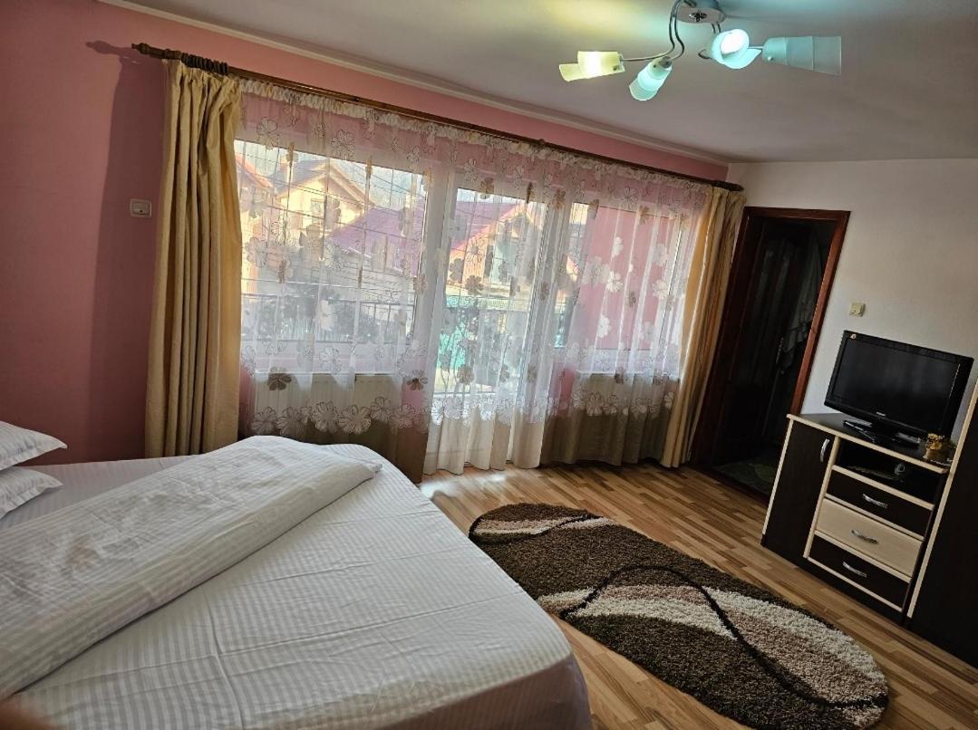 Vila Vladut Zarnesti Exterior foto