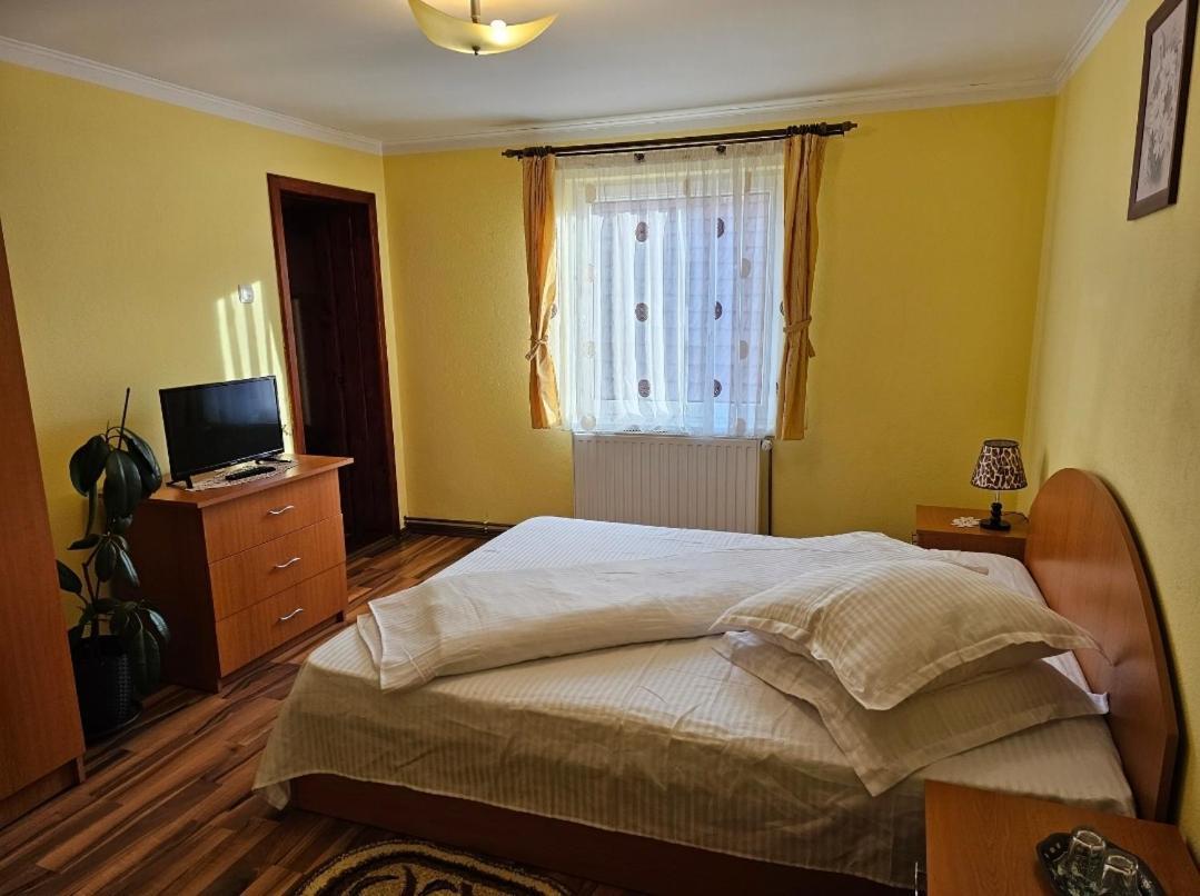 Vila Vladut Zarnesti Exterior foto