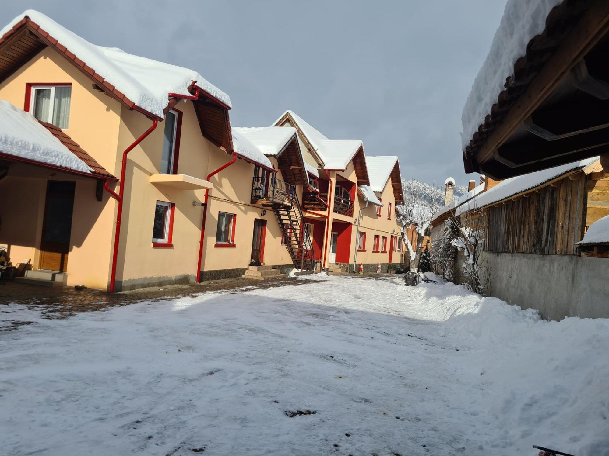 Vila Vladut Zarnesti Exterior foto