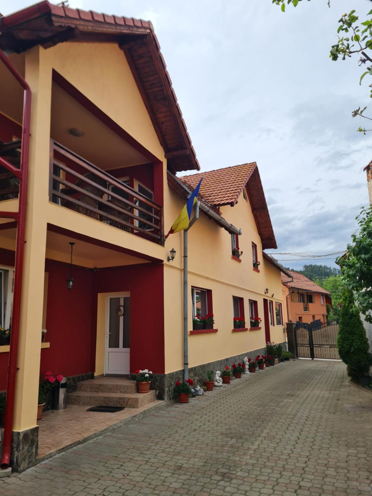 Vila Vladut Zarnesti Exterior foto