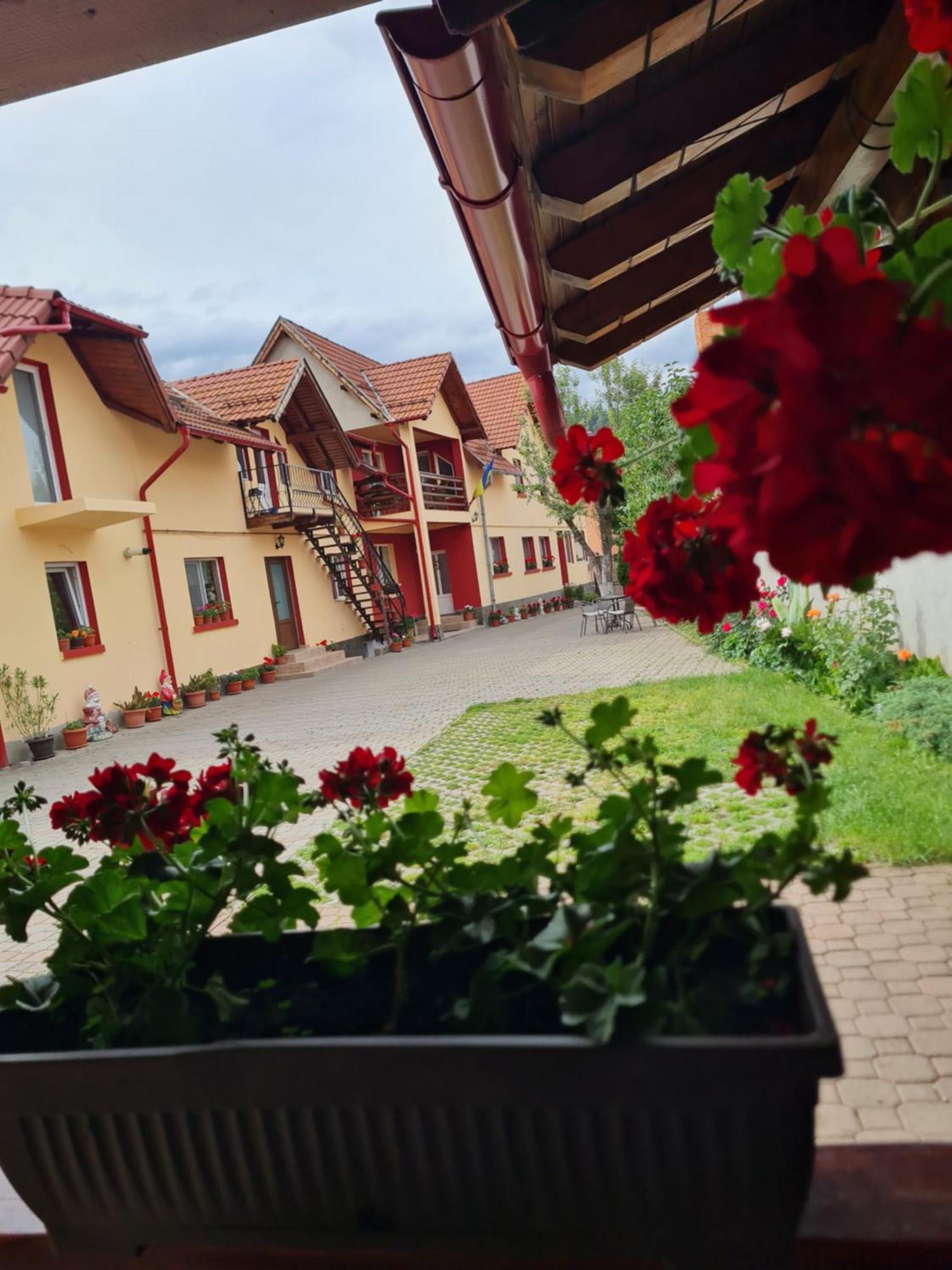 Vila Vladut Zarnesti Exterior foto