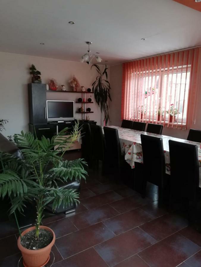 Vila Vladut Zarnesti Exterior foto
